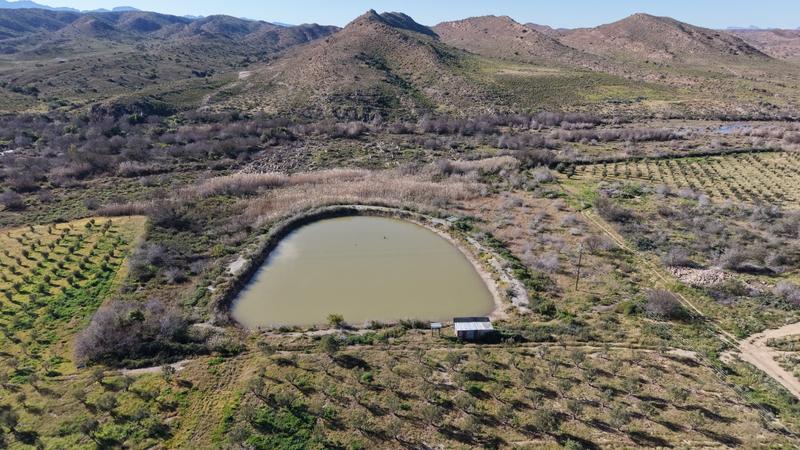 0 Bedroom Property for Sale in Ladismith Western Cape